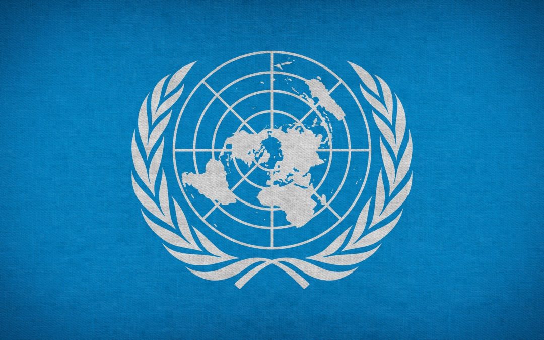 Que diriez-vous au monde si vous aviez la possibilité de parler au siège des Nations Unies à New York ?